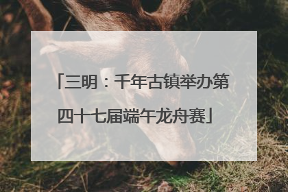 三明：千年古镇举办第四十七届端午龙舟赛